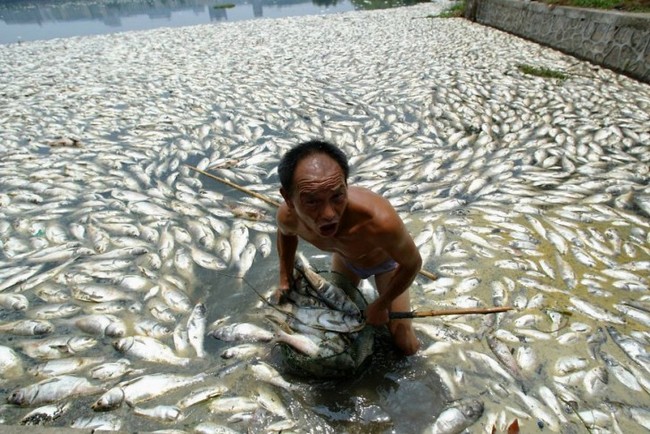 12 immagini shock dell'inquinamento in Cina. Pazzesco