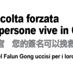 Petizione all’Alto Commissariato delle Nazioni Unite per i Diritti Umani per chiedere la fine immediata dell’espianto forzato di organi dai praticanti del Falun Gong in Cina