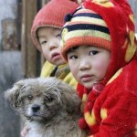 In Cina 10 milioni di cani uccisi dai bracconieri per finire in tavola