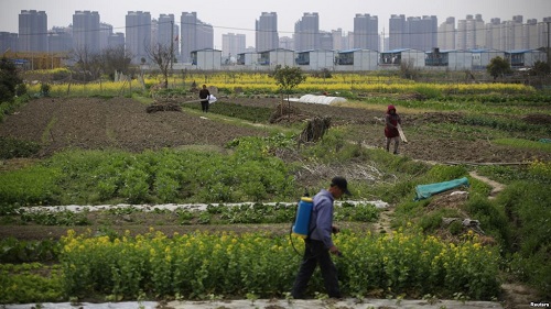 cina-agricoltura